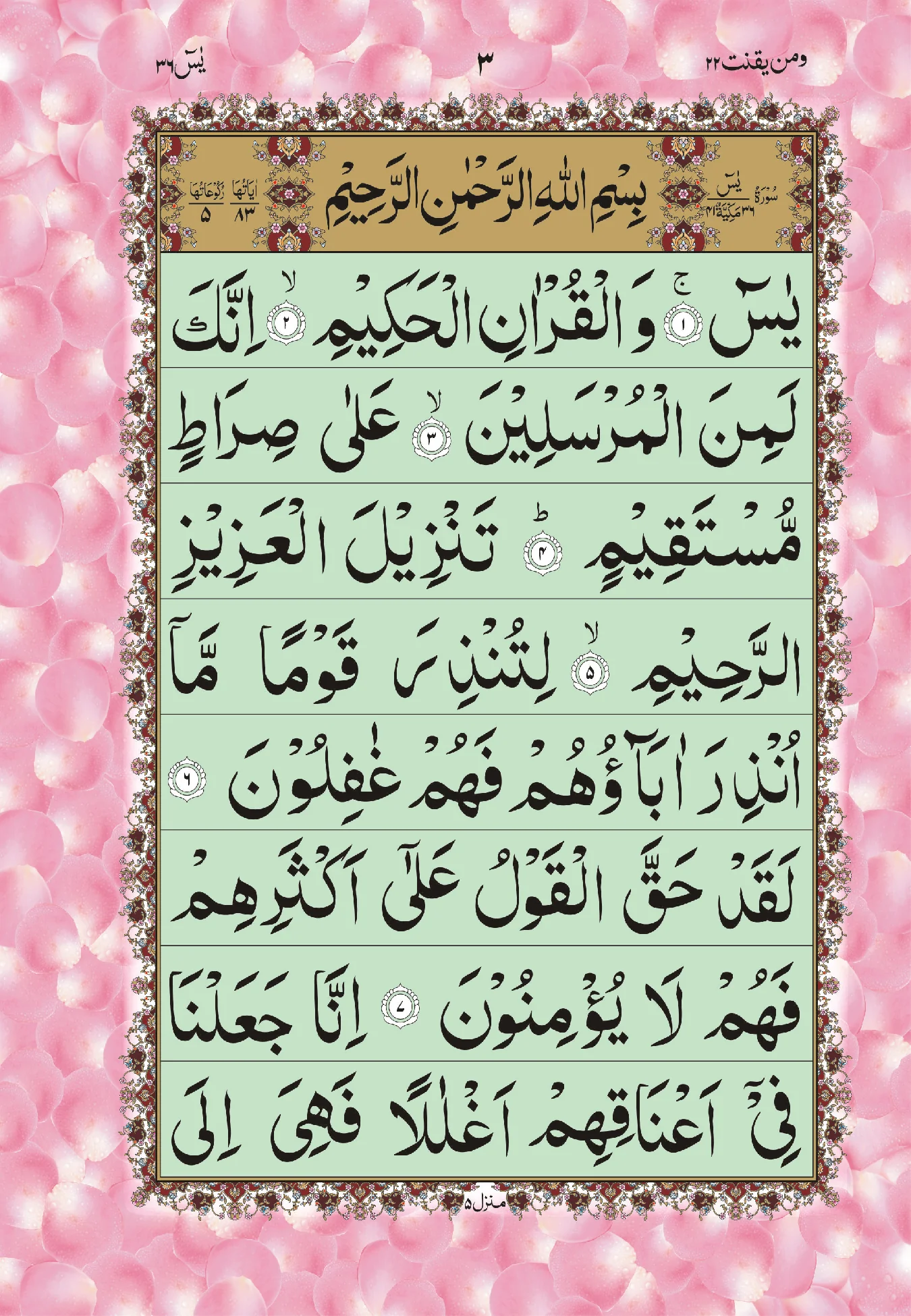 SURAH YASEEN - Image 2